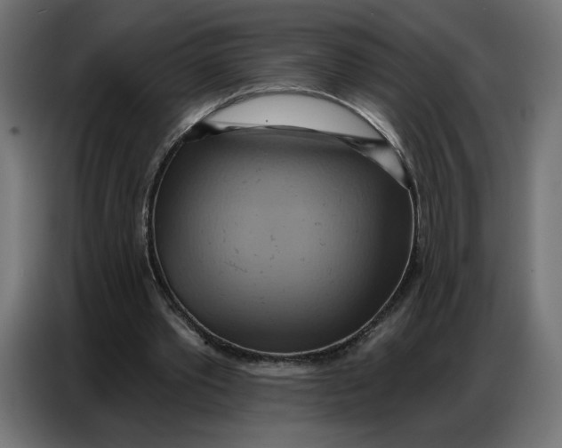 X0000086750389200705041431