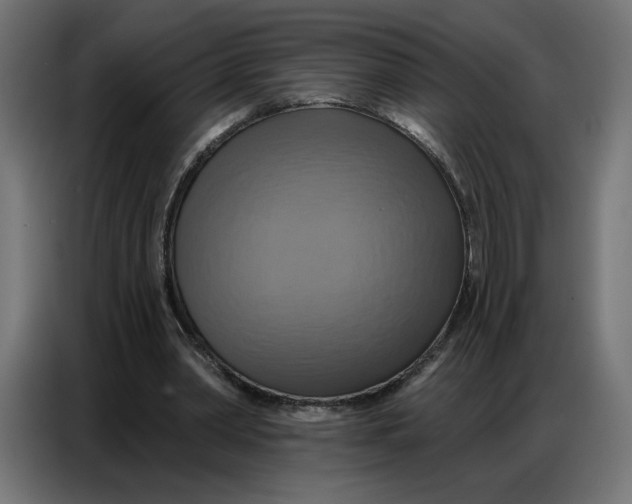 X0000086750390200705041431