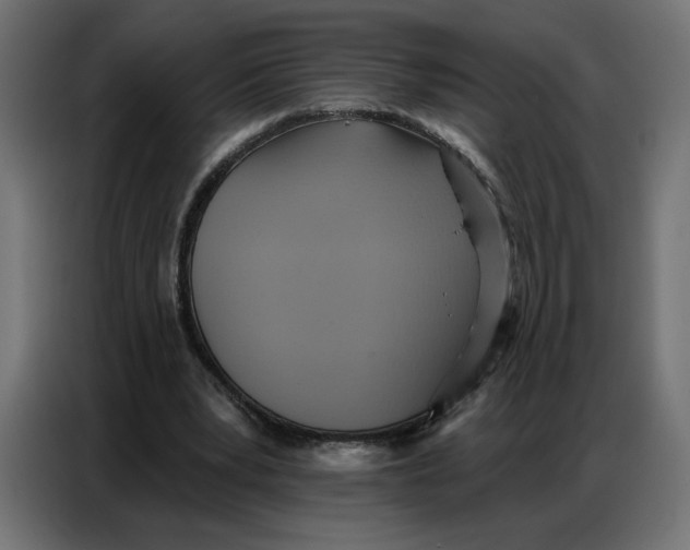 X0000086750391200705041431