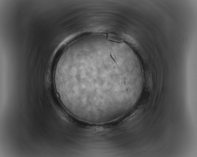 X0000086750392200705041431