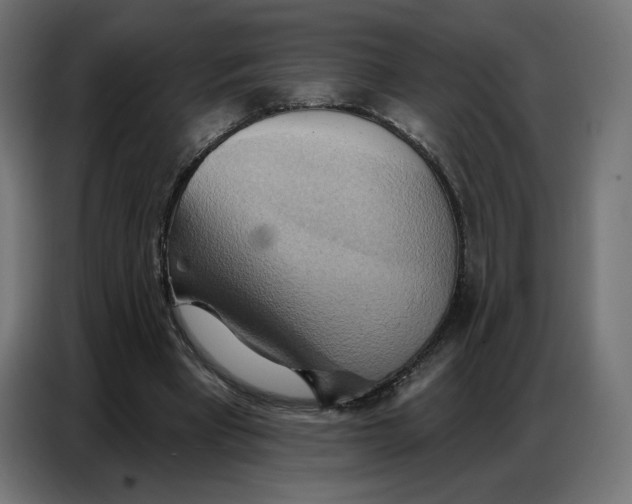 X0000086750393200705041431