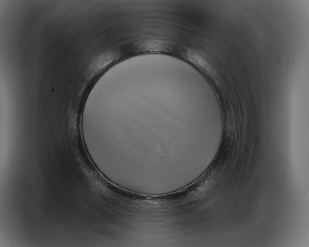 X0000086750394200705041431