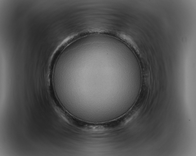 X0000086750395200705041431