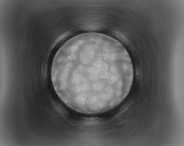 X0000086750396200705041431