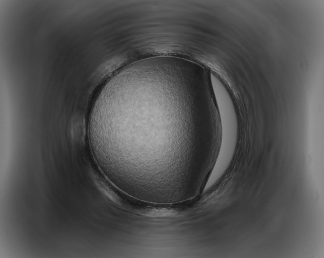 X0000086750397200705041431