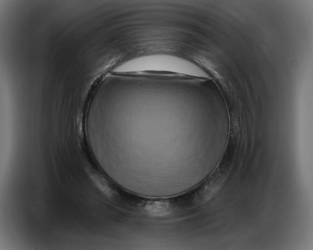 X0000086750398200705041431