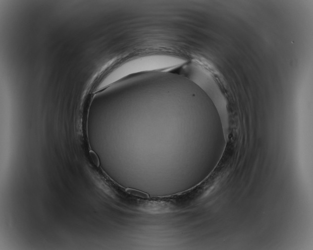 X0000086750399200705041431