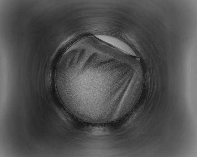 X0000086750400200705041431