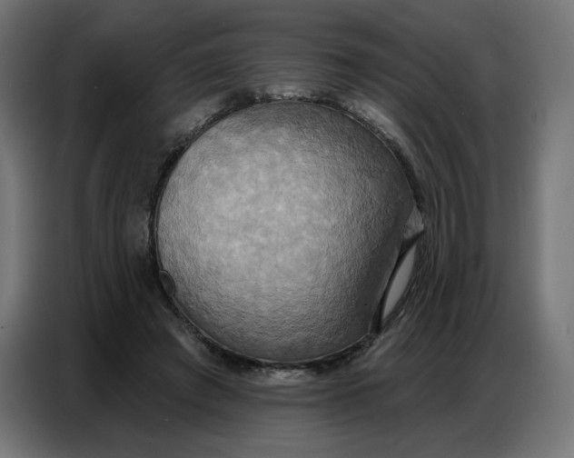 X0000086750401200705041431