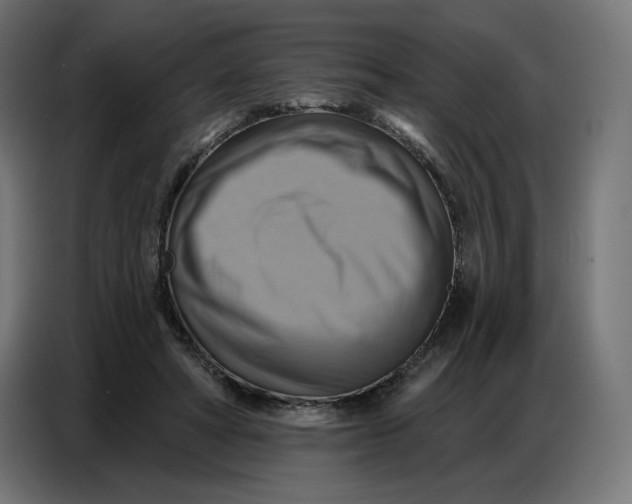 X0000086750402200705041431