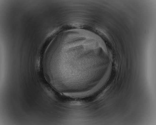 X0000086750404200705041431