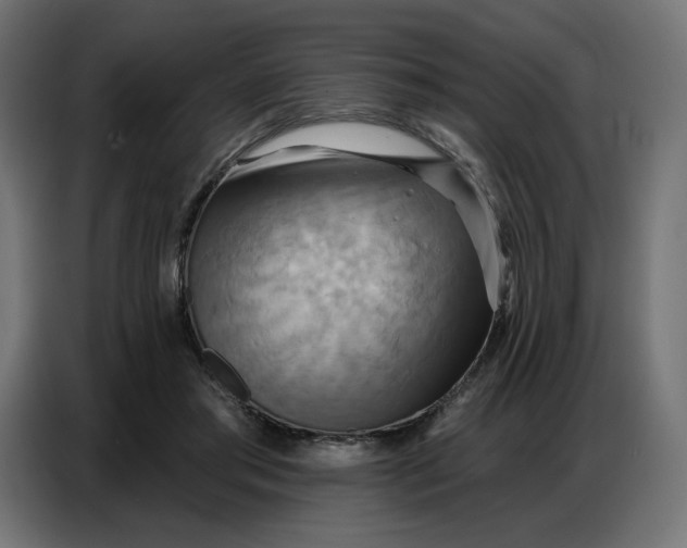 X0000086750405200705041431