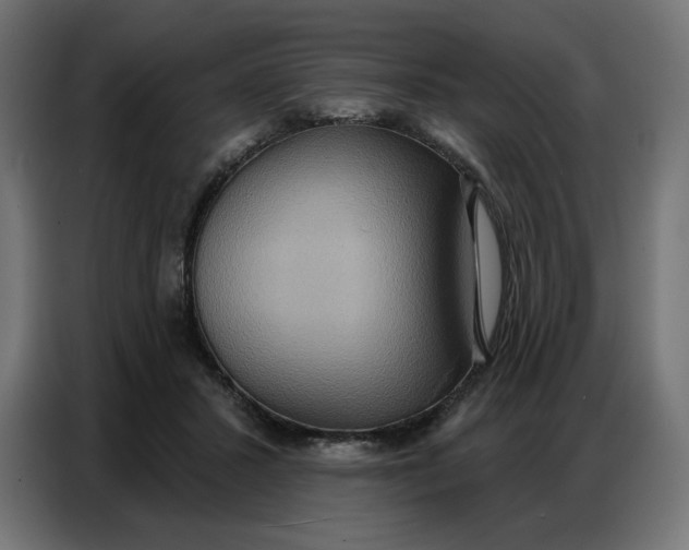 X0000086750407200705041431