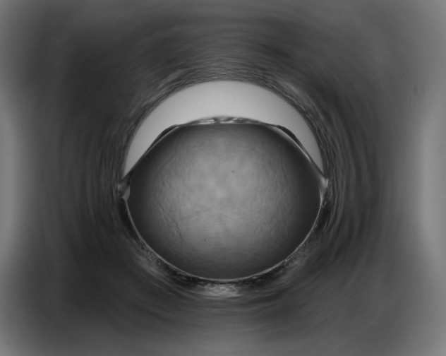 X0000086750409200705041431