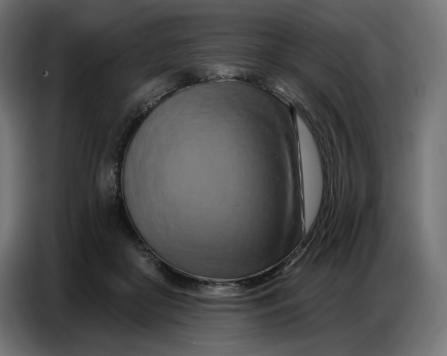 X0000086750410200705041431