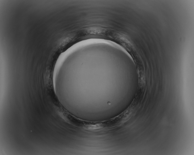 X0000086750411200705041431