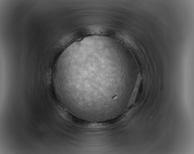 X0000086750413200705041431