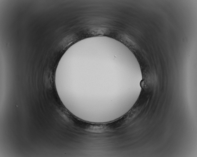 X0000086750414200705041431