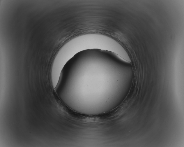 X0000086750415200705041431