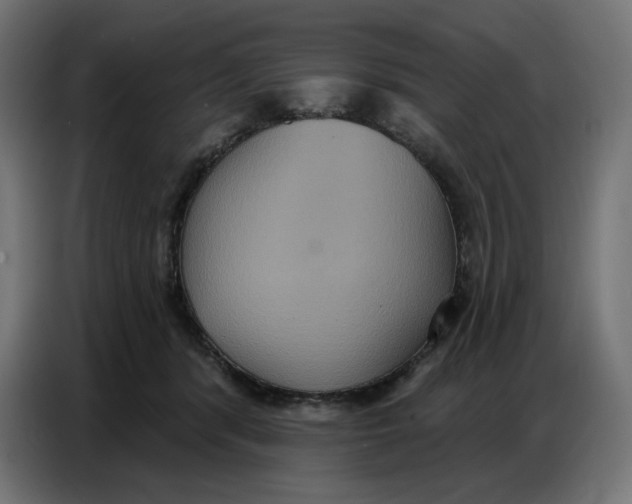 X0000086750416200705041431