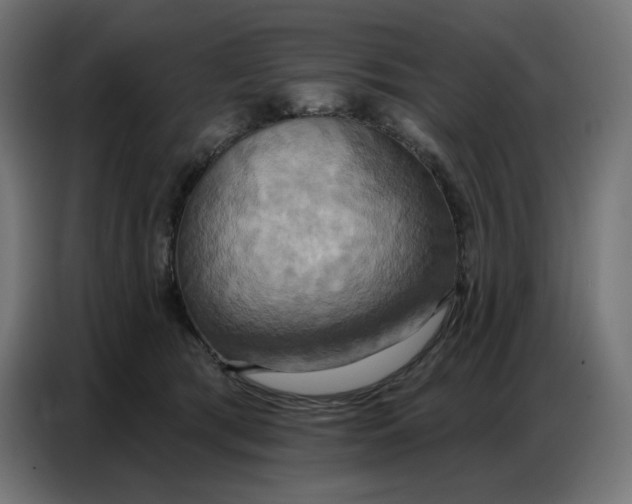 X0000086750417200705041431