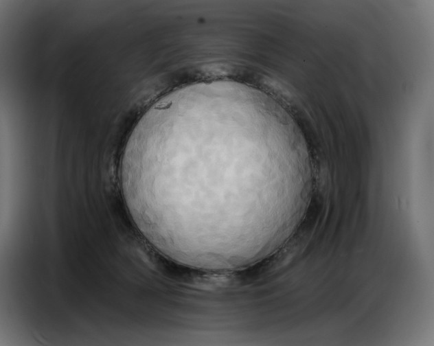 X0000086750418200705041431