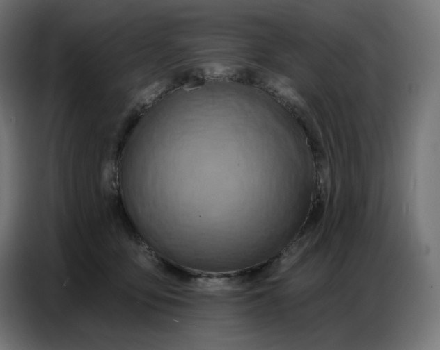 X0000086750419200705041431