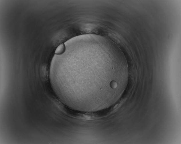 X0000086750420200705041431