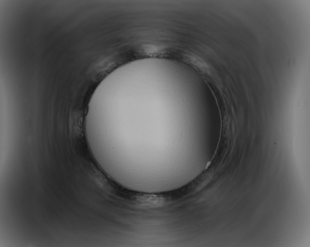 X0000086750421200705041431