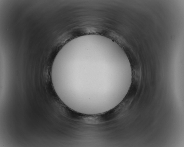 X0000086750422200705041431