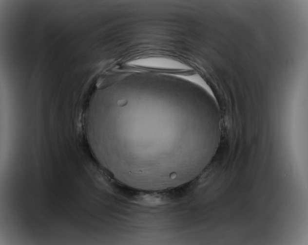 X0000086750423200705041431