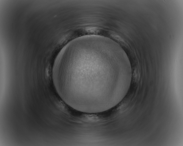 X0000086750424200705041431