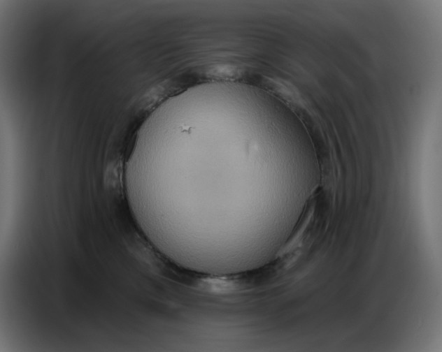 X0000086750425200705041431