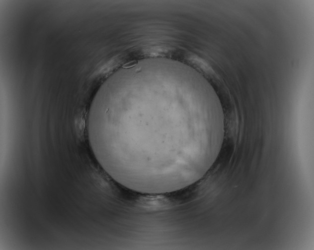 X0000086750427200705041431