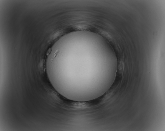 X0000086750428200705041431