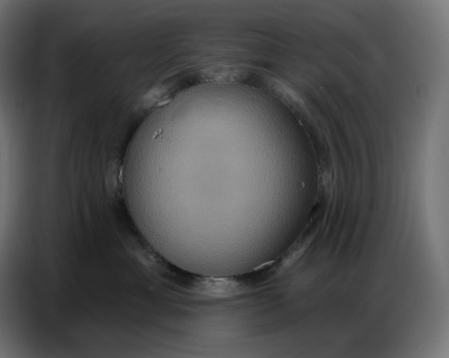 X0000086750429200705041431