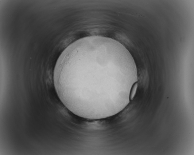 X0000086750430200705041431