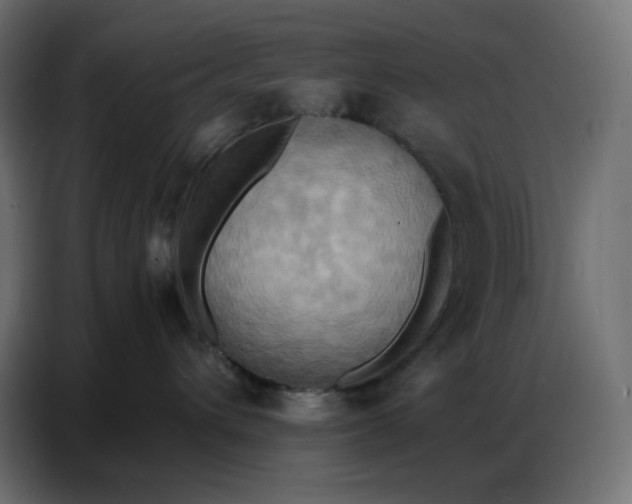 X0000086750432200705041431