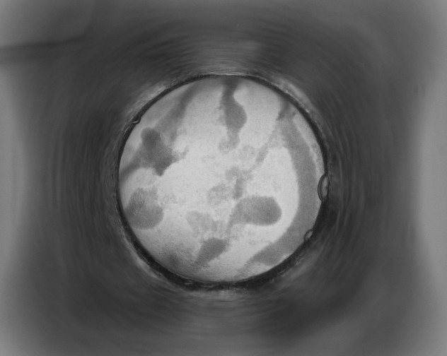 X0000086750433200705041430