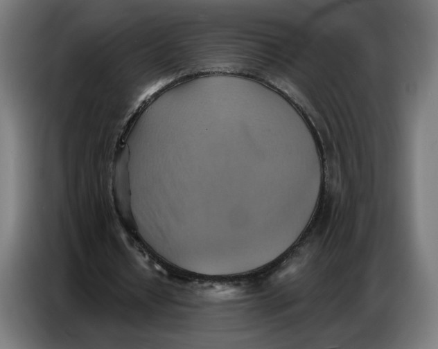 X0000086750434200705041430