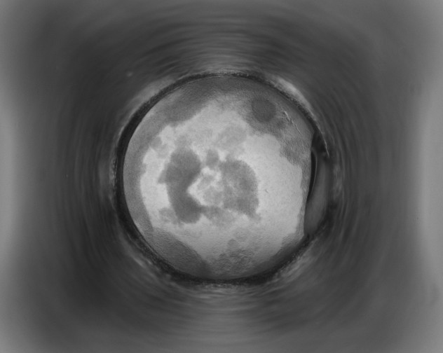 X0000086750435200705041430