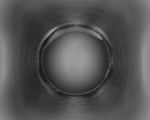 X0000086750436200705041430