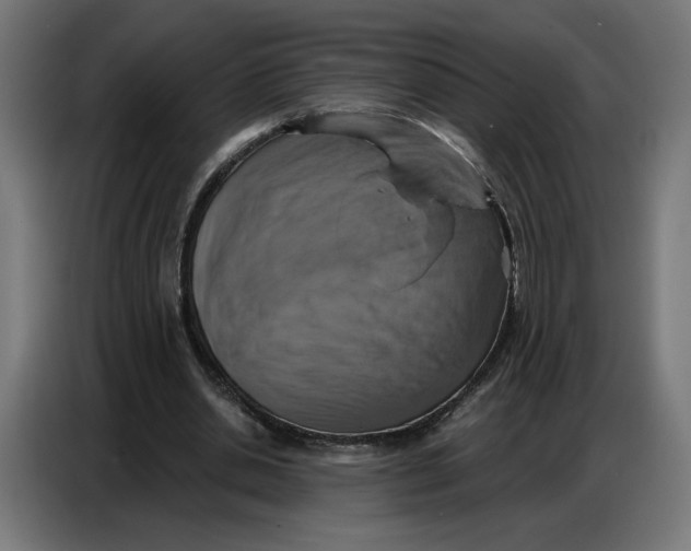 X0000086750438200705041430