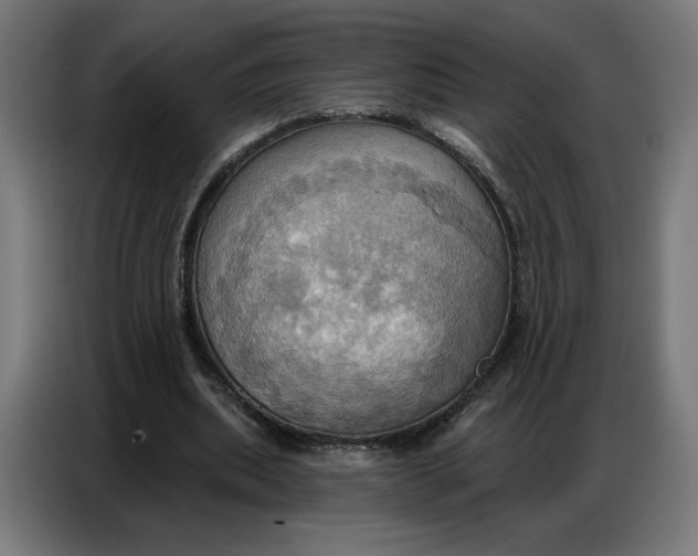 X0000086750439200705041430