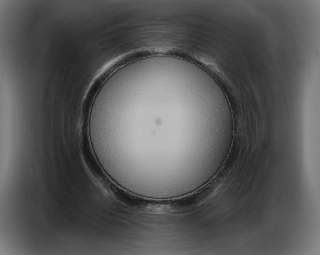 X0000086750440200705041430