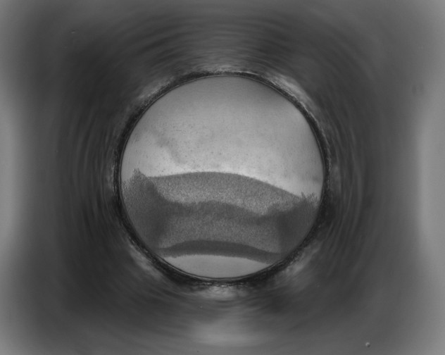 X0000086750441200705041430