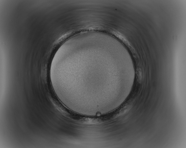 X0000086750442200705041430