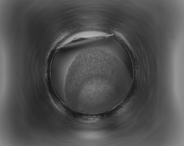 X0000086750443200705041430