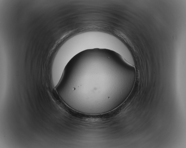 X0000086750444200705041430