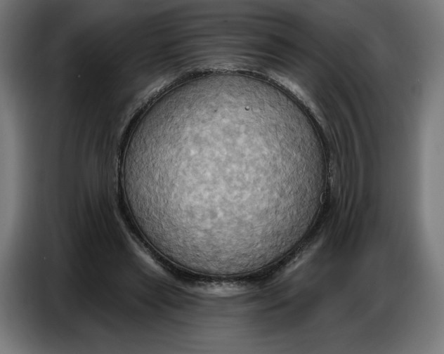 X0000086750445200705041430